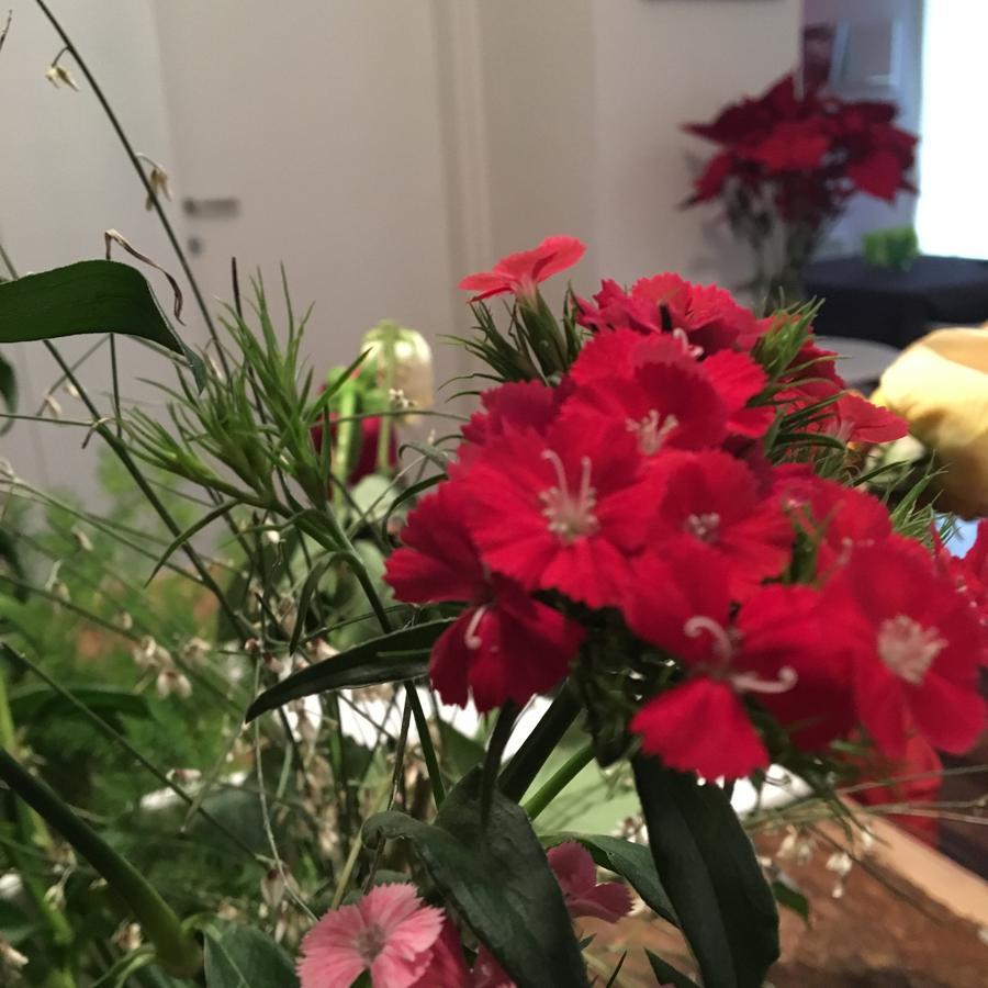 Amaranto Bnb Matera Eksteriør billede